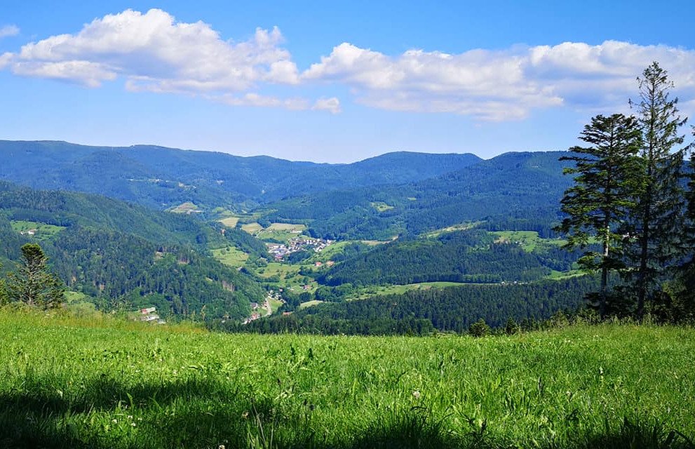 Blick in ein Schwarzwaldtal